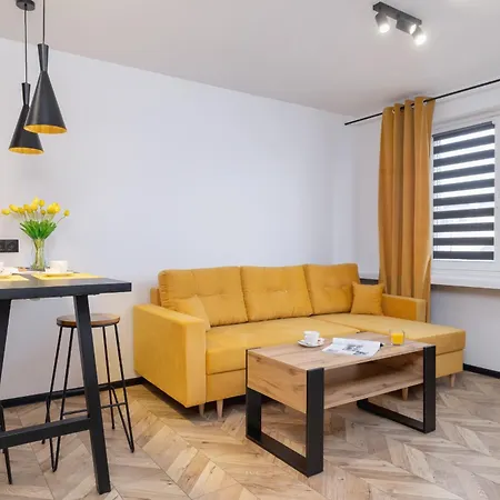 Center One-bedroom With Bathtub By Renters Rzeszow