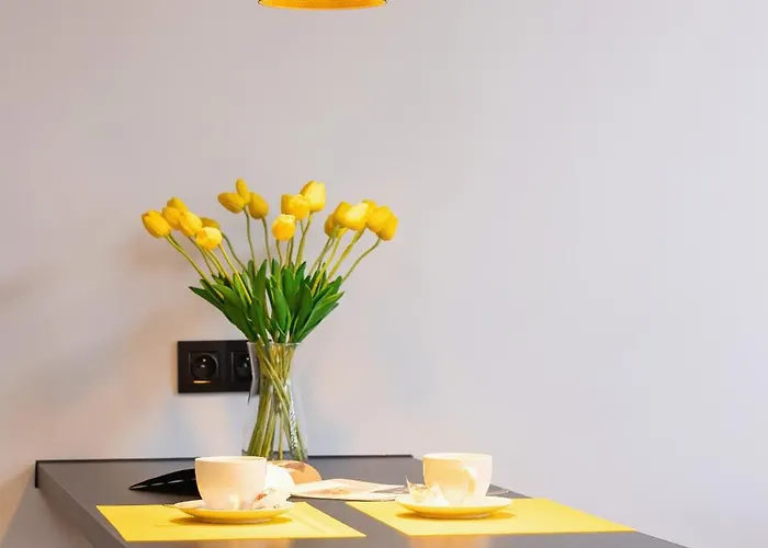 Center One-bedroom With Bathtub By Renters Appartement