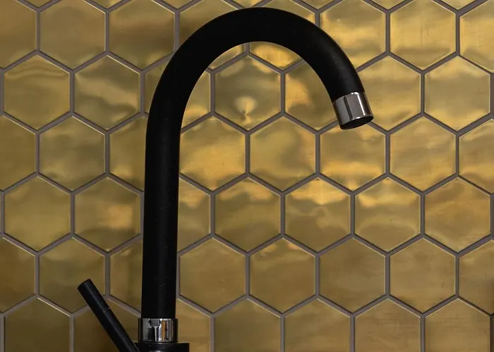 Center One-bedroom With Bathtub By Renters